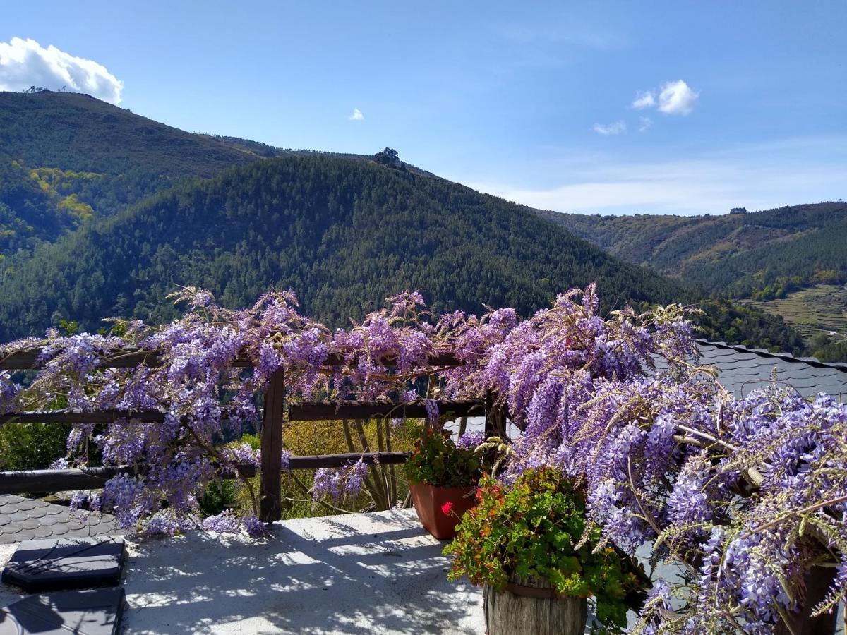 Villa Ribera Sacra à Santa María Extérieur photo